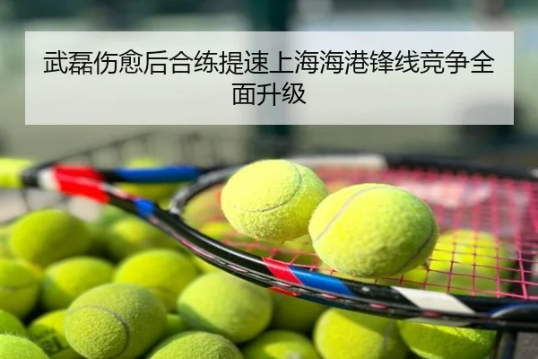 武磊伤愈后合练提速上海海港锋线竞争全面升级